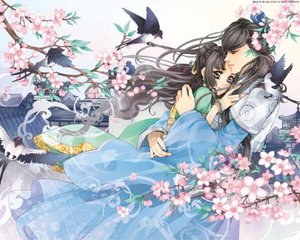 小马拉大车免费观看完整版